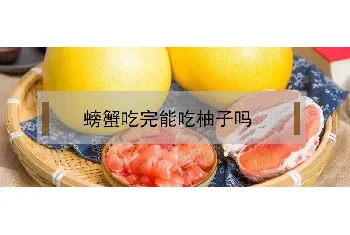 螃蟹吃完能吃柚子吗