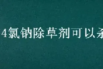 2甲4氯钠除草剂可以杀死哪些草