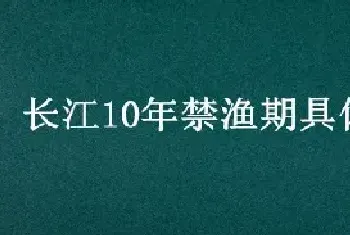 长江10年禁渔期具体规定