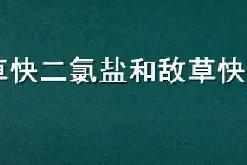 敌草快二氯盐和敌草快有什么区别