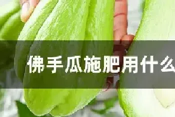 佛手瓜施肥用什么肥料