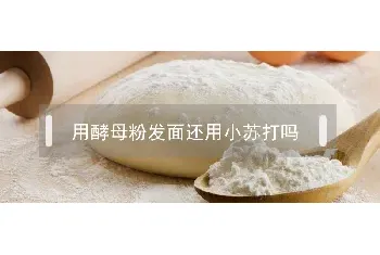 用酵母粉发面还用小苏打吗