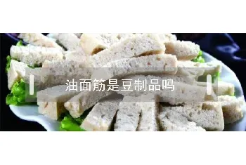 油面筋是豆制品吗