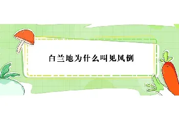 白兰地为什么叫见风倒