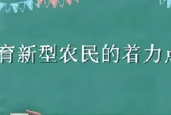 培育新型农民的着力点是什么