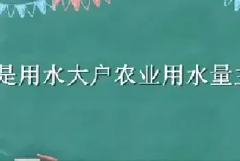 农业是用水大户农业用水量主要用于什么