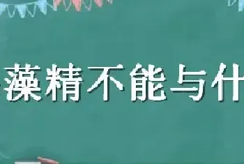 海藻精不能与什么混合