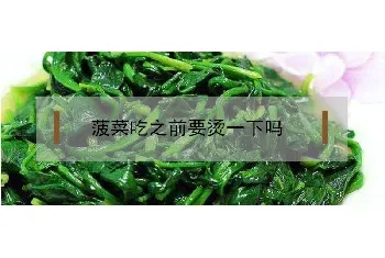 菠菜吃之前要烫一下吗