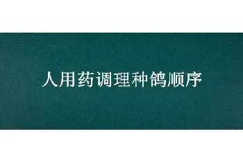 人用药调理种鸽顺序