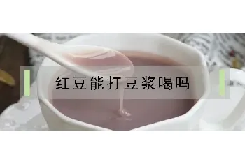 红豆能打豆浆喝吗