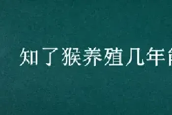 知了猴养殖几年能出