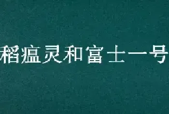 稻瘟灵和富士一号的区别