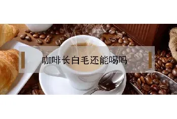 咖啡长白毛还能喝吗