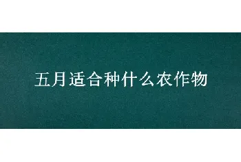 五月适合种什么农作物