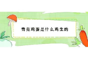 青壳鸡蛋是什么鸡生的