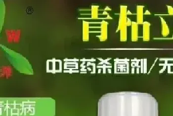 杀菌剂如何使用效果好？