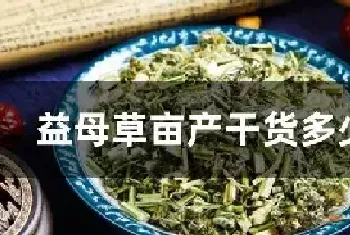 益母草亩产干货多少公斤