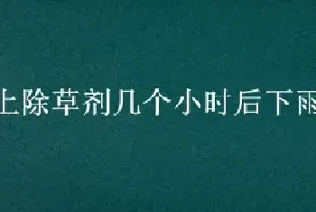 打上除草剂几个小时后下雨不影响效果