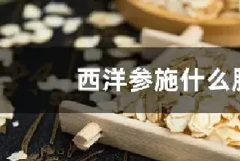 西洋参施什么肥