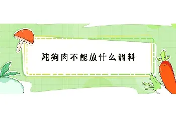 炖狗肉不能放什么调料