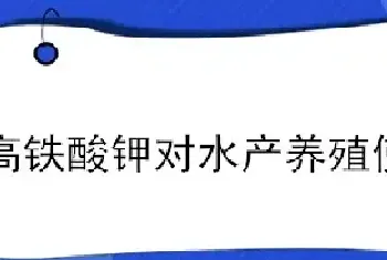 高铁酸钾对水产养殖使用效果