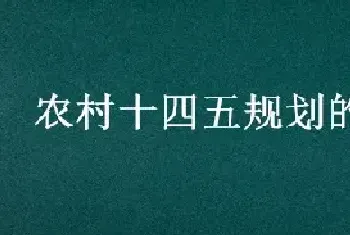 农村十四五规划的建议