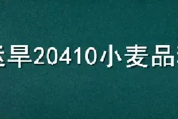 运旱20410小麦品种介绍