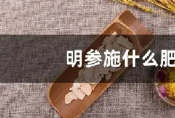 明参施什么肥