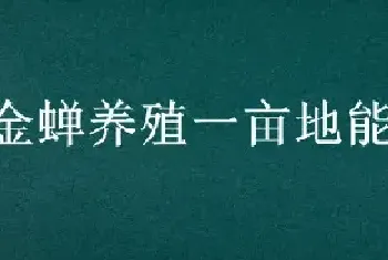 金蝉养殖一亩地能产多少