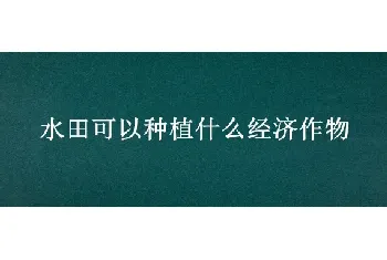 水田可以种植什么经济作物