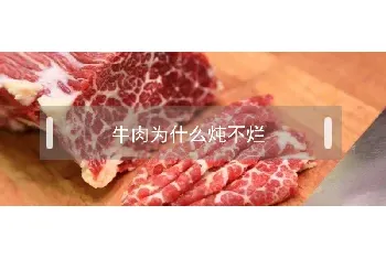 牛肉为什么炖不烂