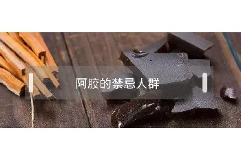 阿胶的禁忌人群