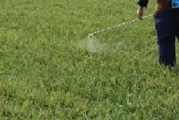 三十年不长草的除草剂附除草剂的使用方法