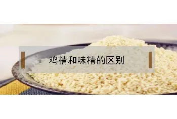 鸡精和味精的区别