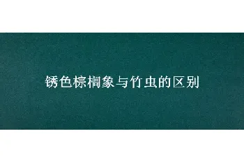 锈色棕榈象与竹虫的区别