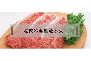 猪肉冷藏能放多久