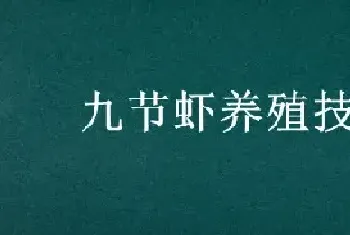 九节虾养殖技术