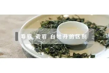 寿眉 贡眉 白牡丹的区别