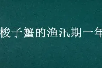 梭子蟹的渔汛期一年有几次