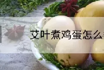 艾叶煮鸡蛋怎么煮