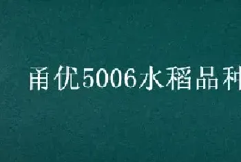 甬优5006水稻品种介绍