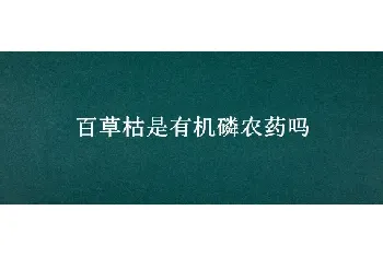 百草枯是有机磷农药吗