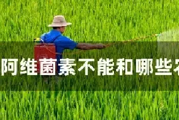 阿维菌素不能和哪些农药混用