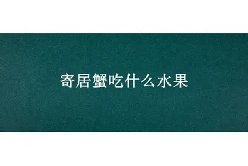 寄居蟹吃什么水果