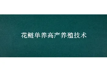 花鲢单养高产养殖技术