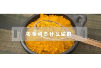 姜黄粉是什么做的