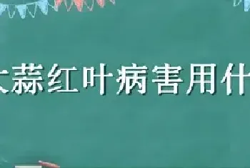 大蒜红叶病害用什么药