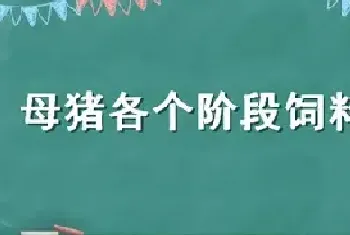 母猪各个阶段饲料喂量