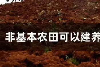 非基本农田可以建养殖场吗