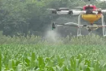 氰氟草酯施药后多久下雨主要杀什么草